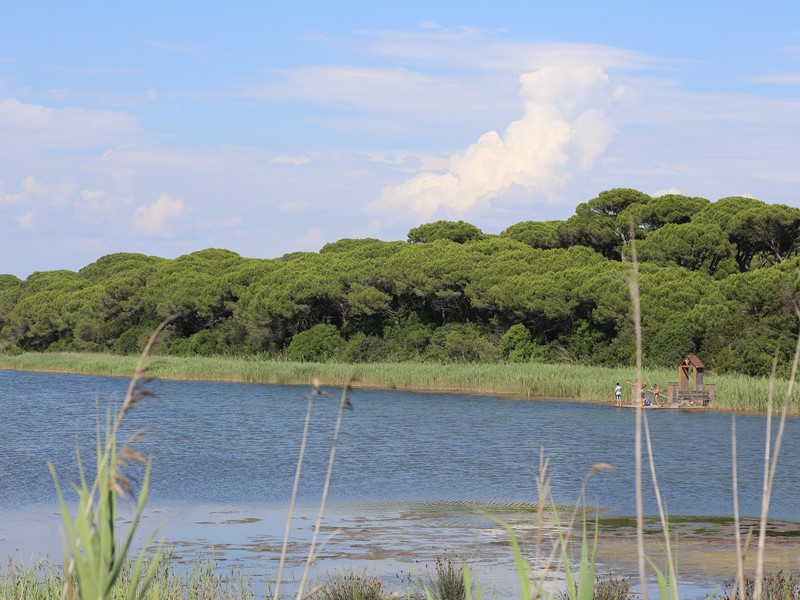 maremma